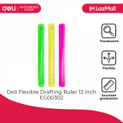 Deli Drafting Ruler 12 inch 1pc EG00302