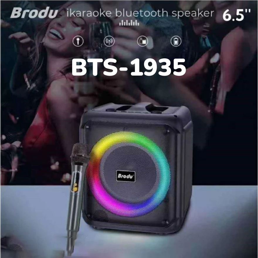 Brodu BTS-1935 inch IKARAOKE BOX professional system Bluetooth