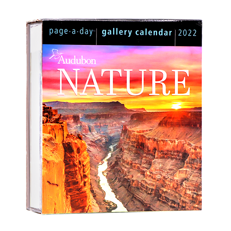 page　calendar　Audubon　torn　nature　be　decoration　can　page-a-day　day　Desktop　Gallery　202Creative　per　desk　one　calendar　36days,　Lazada　PH