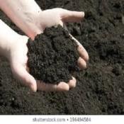 Organic Soil - 1kg for Healthy Plants 