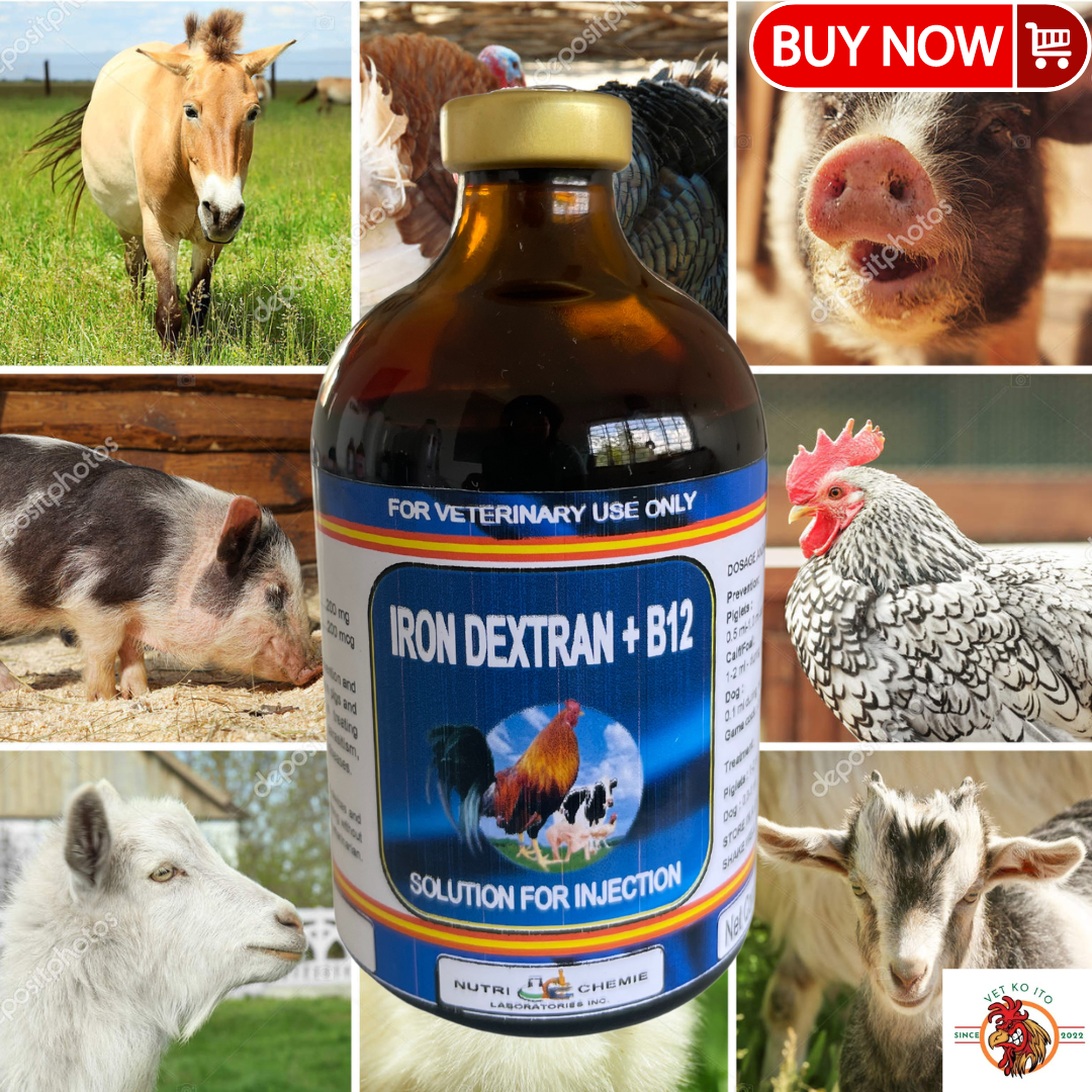 best b12 injectable for gamefowl Vitamin B12 Injection For Dogs: The Complete FAQ Guide In 2025 – AIPAK  ENGINEERING main image 0
