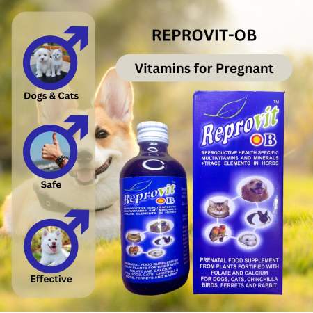 REPROVIT OB Dog Vitamins - Essential for Pregnant Pets