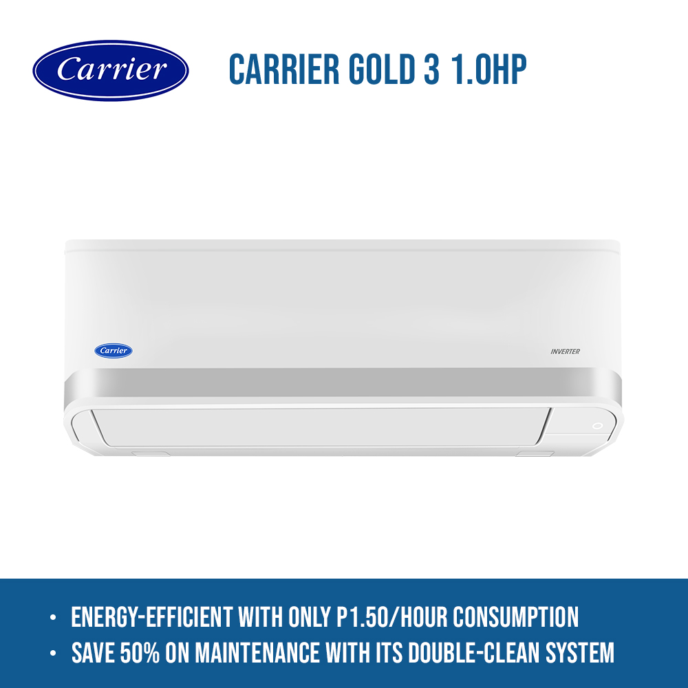 carrier fp 53gcvbs010