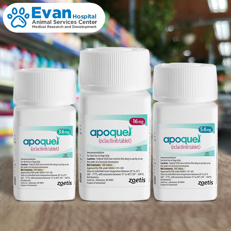 Apoquel điều trị ngứa dị ứng cho chó 5/10 viên 3.6/5.4/16mg