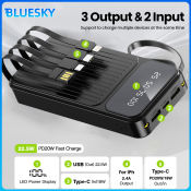 BLUESKY 20000mAh Power Bank with 2 USB Outputs, LED Display