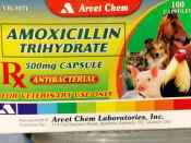 Amoxicillin Trihydrate