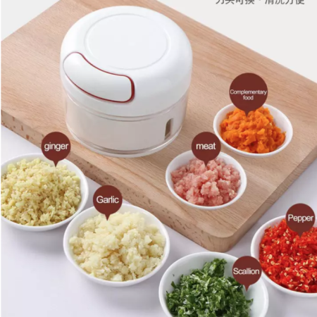 Lst Mini Food Chopper - Garlic & Vegetable Grinder Slicer