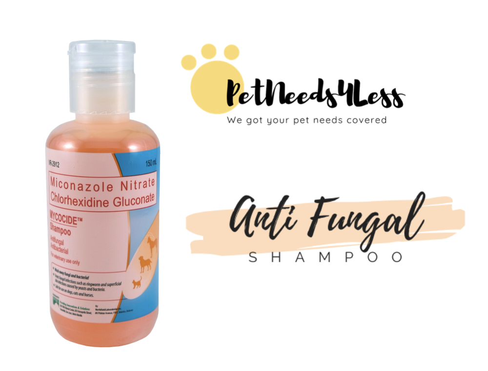 mycocide shampoo for mange