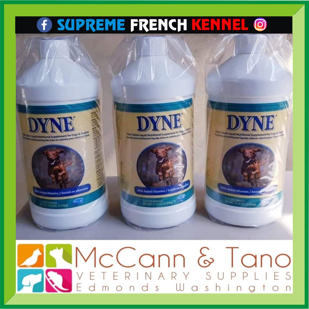 Dyne dog outlet food