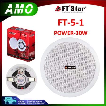 FTstar 5" 30W Ceiling Speaker for Public Broadcasting Music