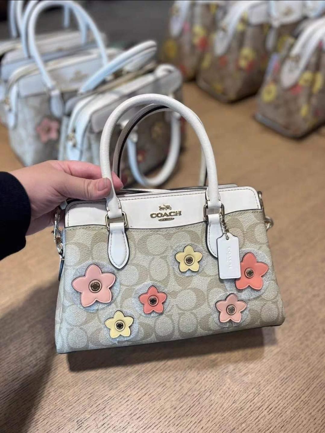 Coach Mini Darcie Carryall in Signature Canvas with Floral Applique