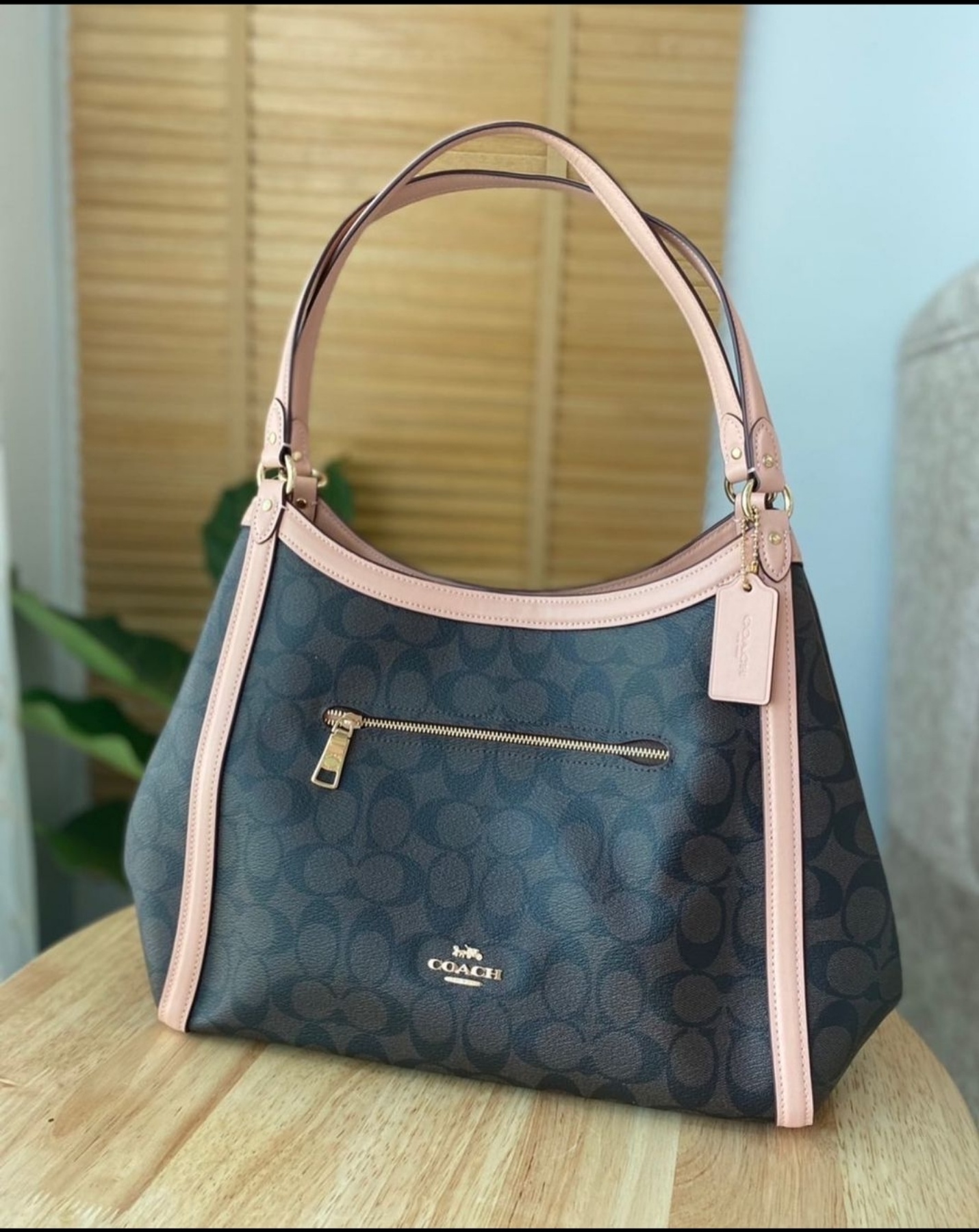 Coach Signature Brown Cloth ref.925648 - Joli Closet