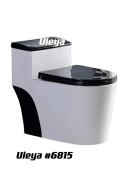 Modern Black and White Toilet Bowl with Soft Closing Cover