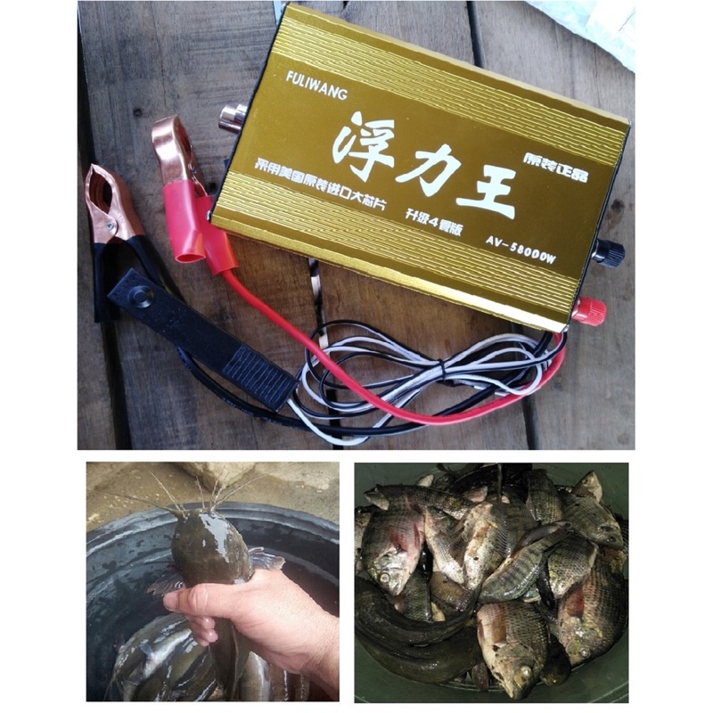 Buy 1 Take 1 Magic Fish Trap-Portable Fishing Net, Crab Fish Trap