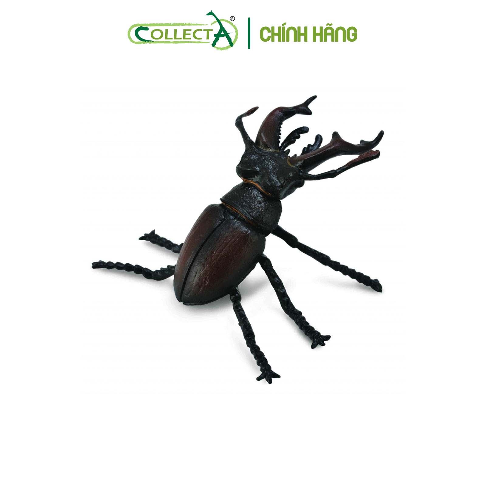 Đồ chơi mô hình động vật CollectA Bọ Vừng - Stag Beetle