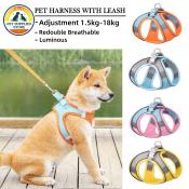 Puppy Leash Set by Paws & Tails