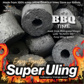 Easy Ignite Charcoal Briquettes with Igniter - Less Smoke BBQ