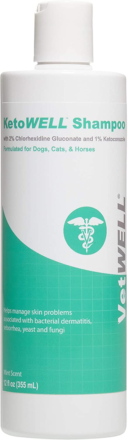 chlorhexidine shampoo