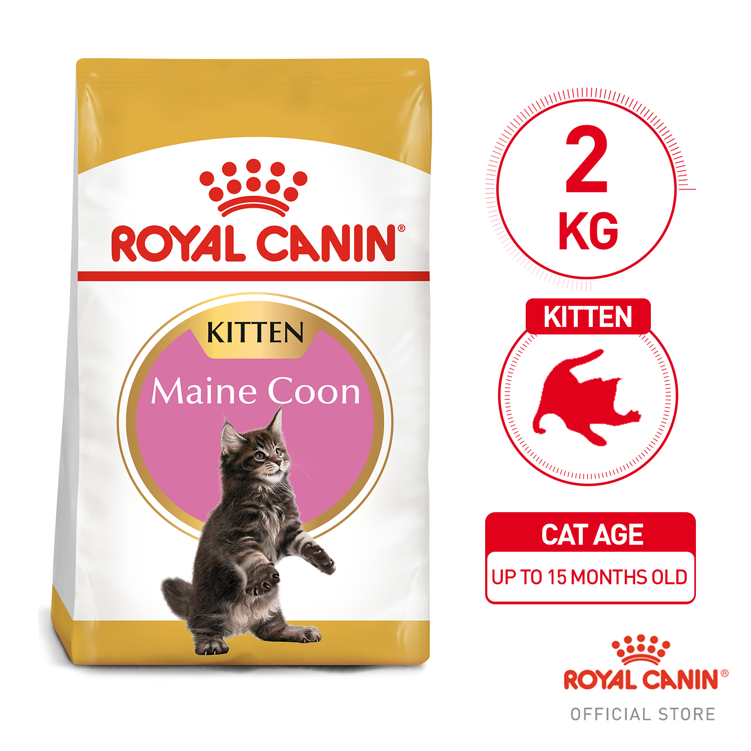 Kitten royal store canin 10 kg