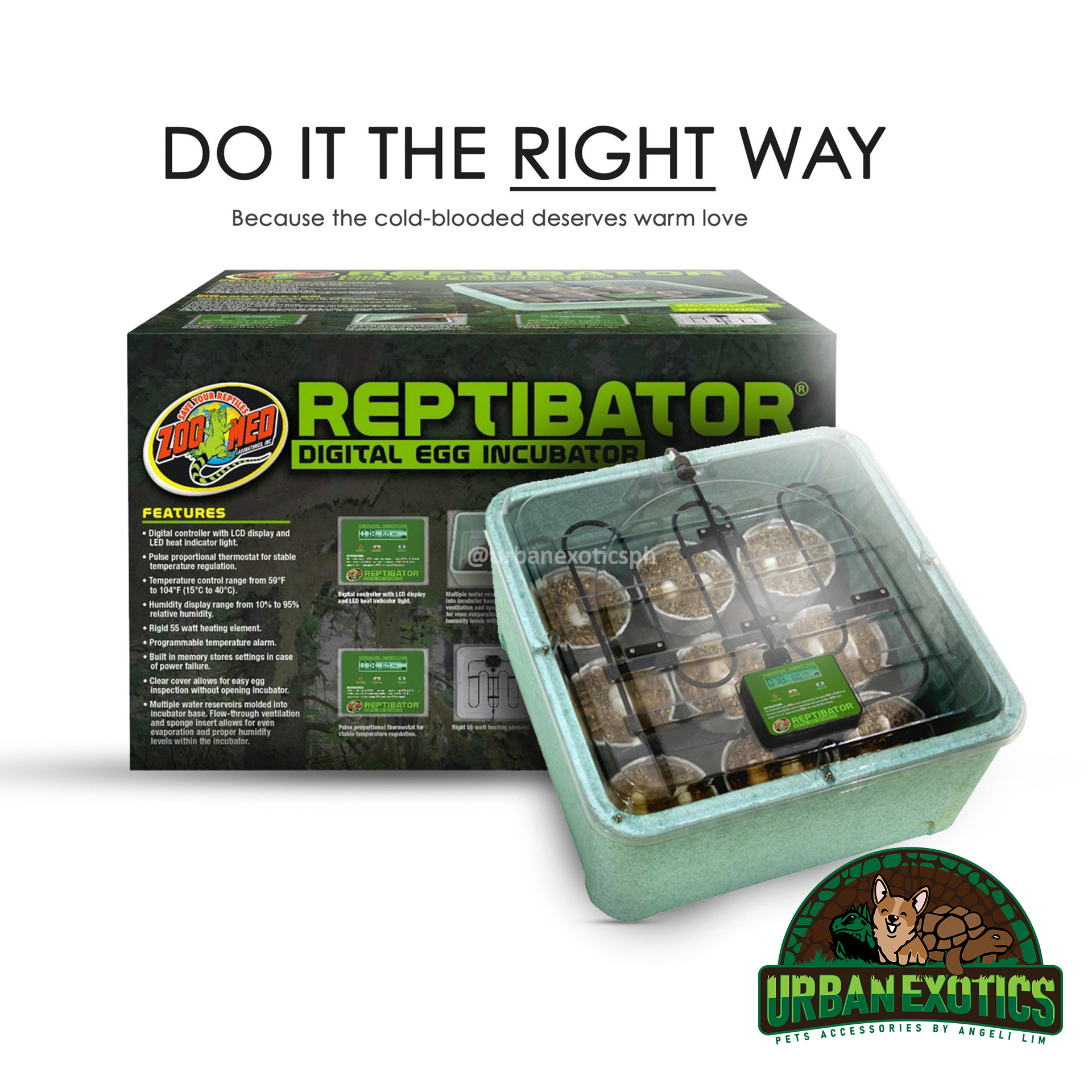 Reptibator digital 2024 egg incubator