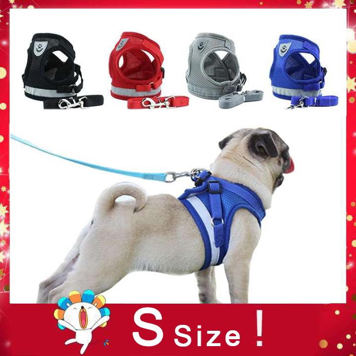 pug dog body belt