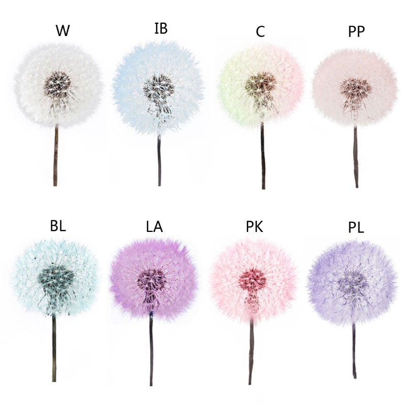 Dried Flowers In Resin How To Preserve Them Mod Podge Rocks 144pcs