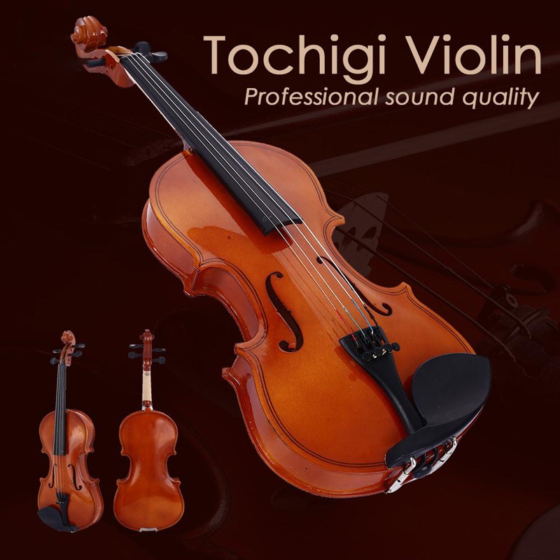 Buy Bachendorff Violin Pro Series online | Lazada.com.ph