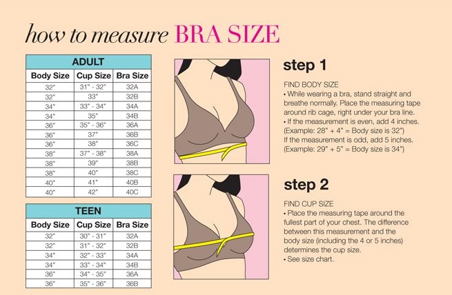 Azzyland Bra Size