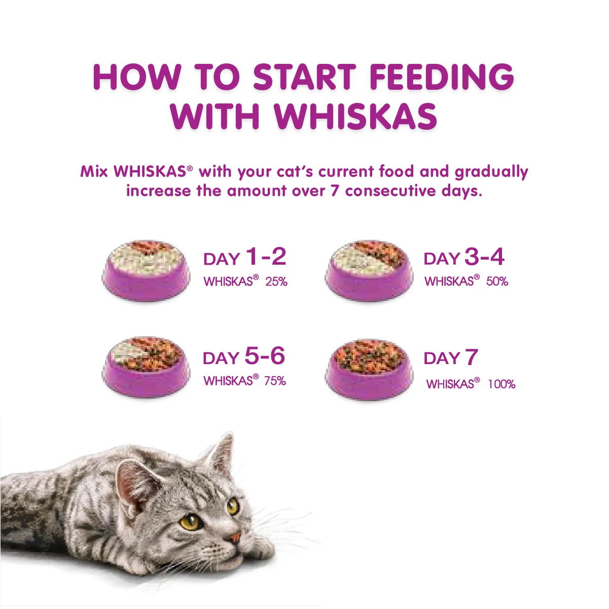 whiskas cat food 7kg