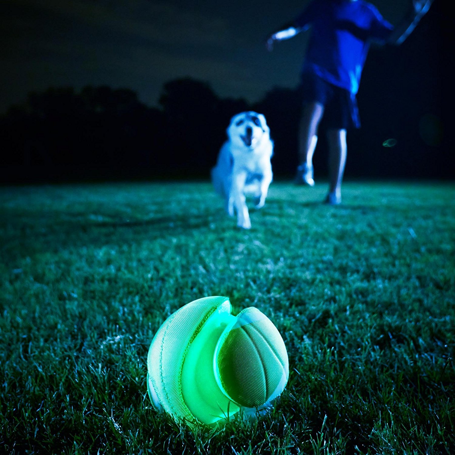 chuckit kick fetch ball large