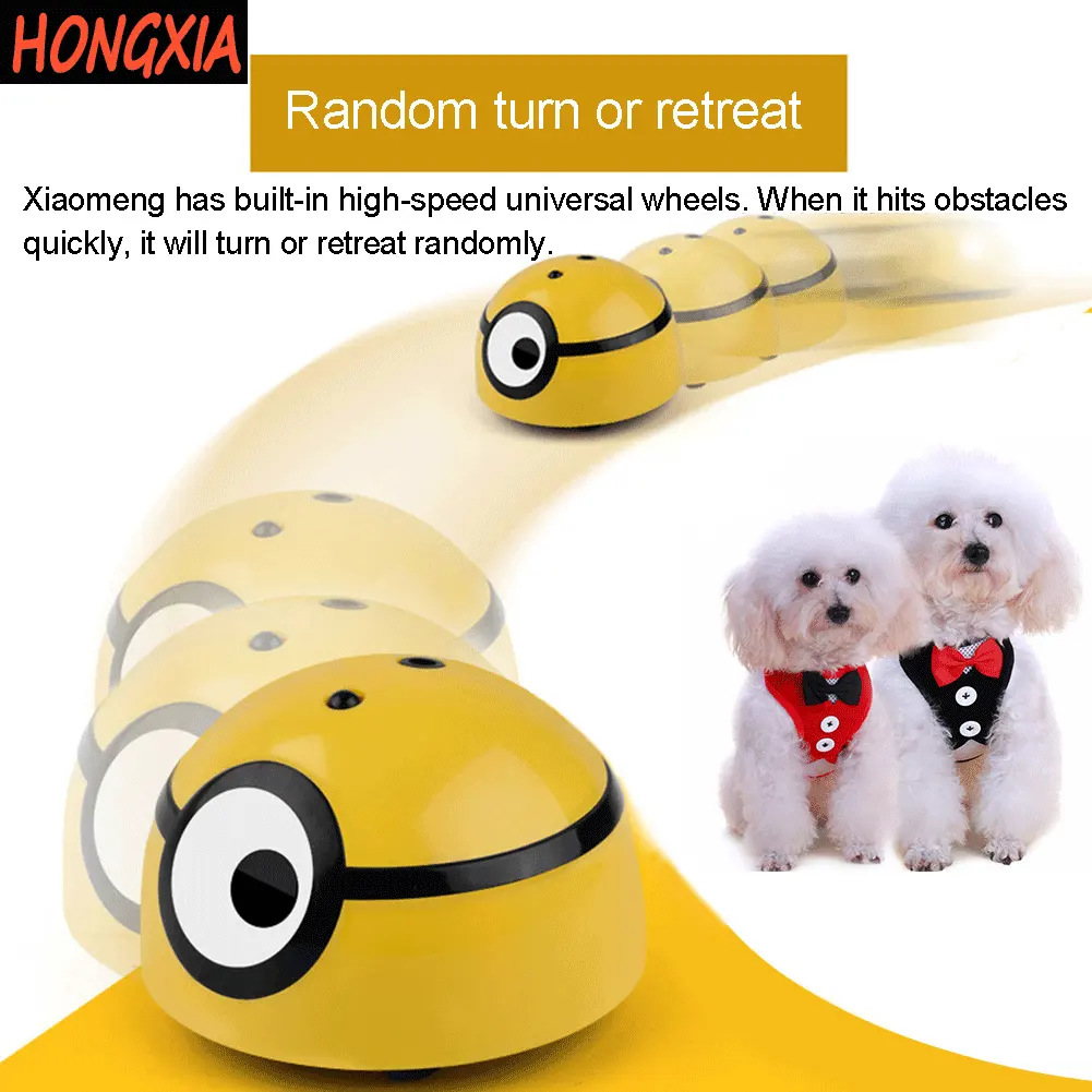 remote control rabbit dog toy