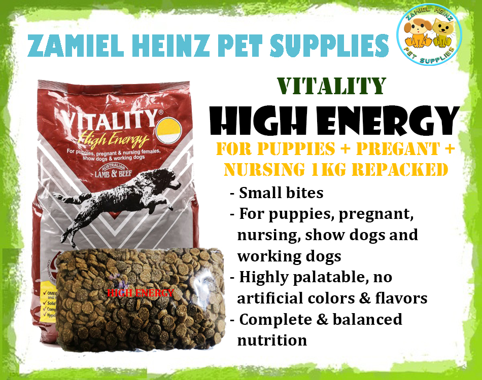 Vitality high best sale energy puppy