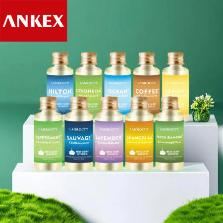 ANKEX HW015 Ultrasonic Humidifier and Air Purifier