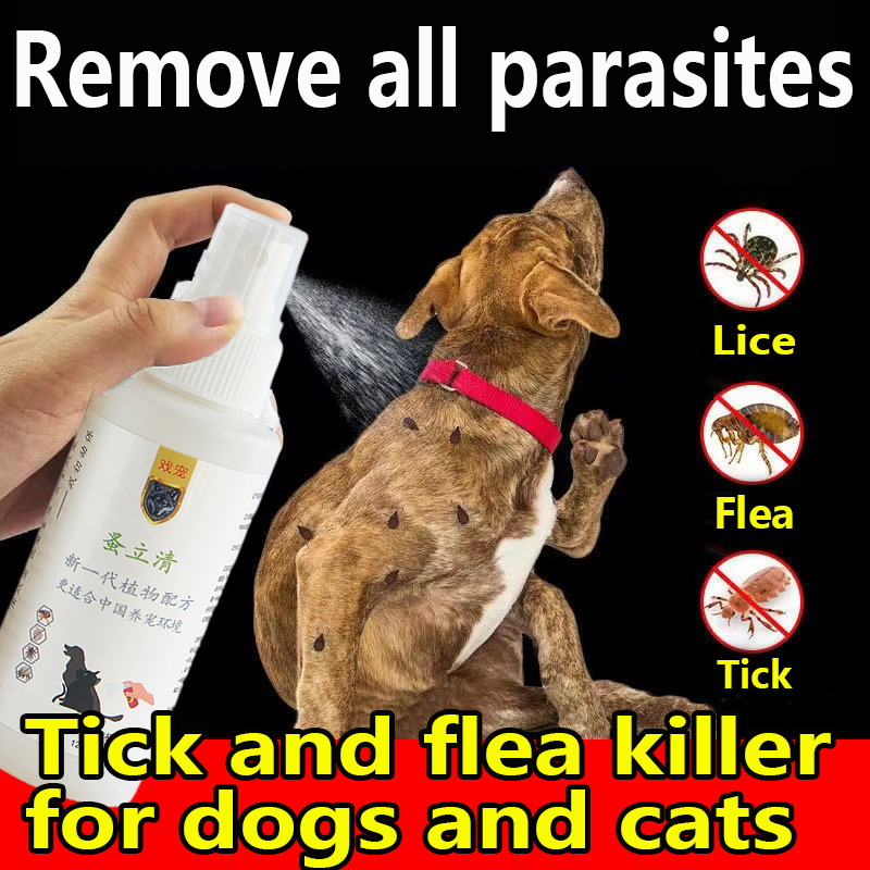 Can Dogs Lick Flea Medicine