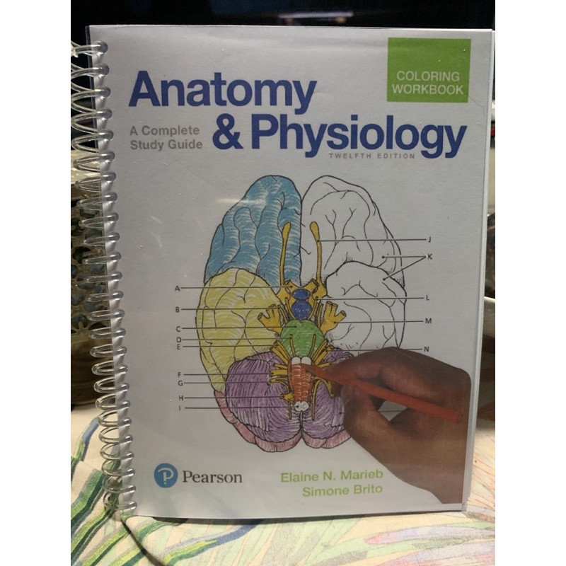 Anatomy Physiology 12th Edition Coloring Workbook Booklet Lazada Ph