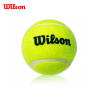 Durable Elastic Tennis Balls for Adult Fitness - Wilson