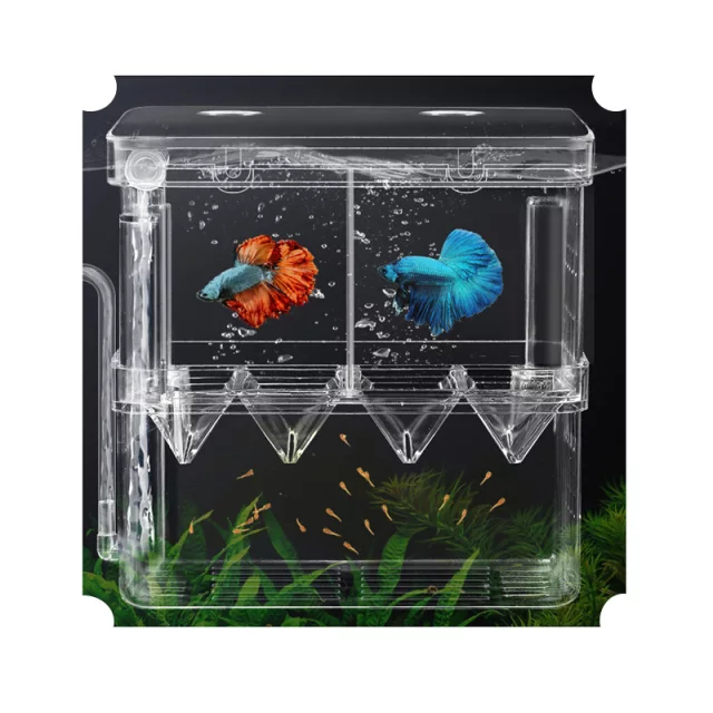 AQUARIUM FISH TANK 2.5 & 5 GALLON BY BCONNECTED / GLASS TANK WITH