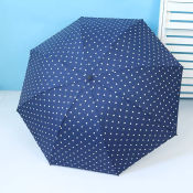 UV Coated Windproof Automatic Umbrella with Dot Print