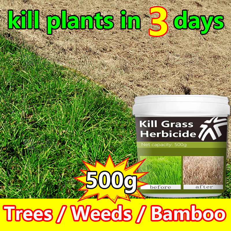 Shop Herbicides Bamboo Kill Online with Best Discounts and Low Prices |  Lazada Philippines