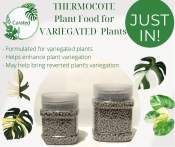 Thermocote: Variegated Plant Food + FREE Fertilizer Basket