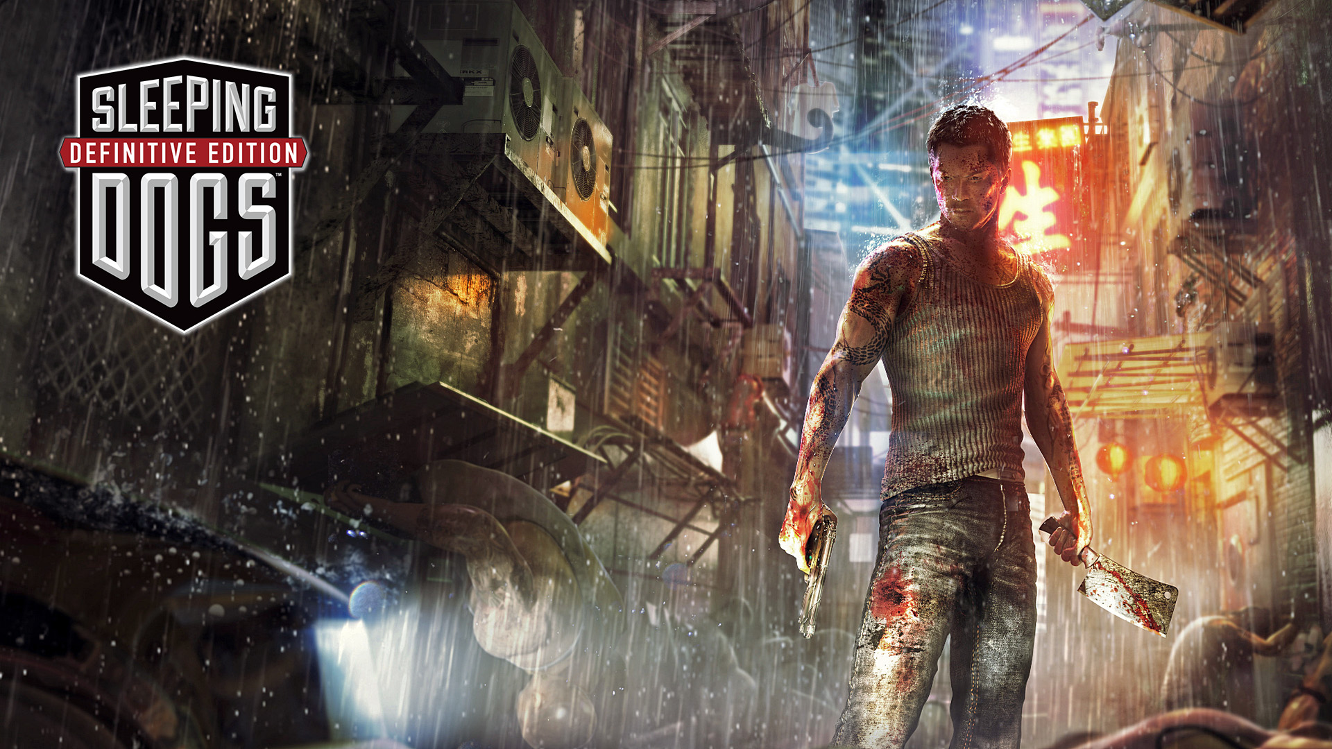  Sleeping Dogs - Limited Edition (PC DVD) : Video Games