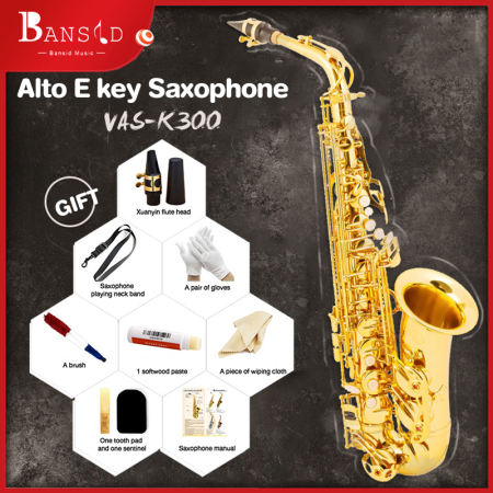 Bansid Brass Alto Saxophone with Carry Case and Accessories