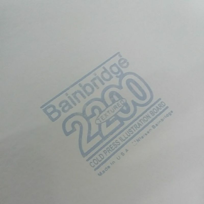 Bainbridge 80 Cold Press Illustration Board 20x30