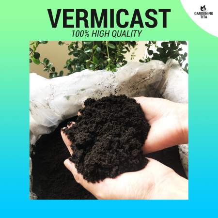 Pure Vermicast - Organic Fertilizer by Gardening Tita