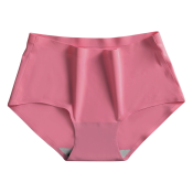 Silky Soft Seamless Panty Briefs by 