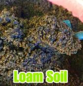 Improved Organic potting loam soil 1kl