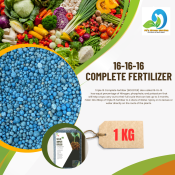 16-16-16 Granular Fertilizer: Easy to Use and High Quality