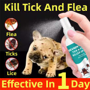 Non-toxic Flea Killer Spray for Pets - 100ml Capacity