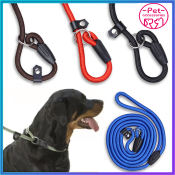 Adjustable Dog Leash with Padded Handle - 