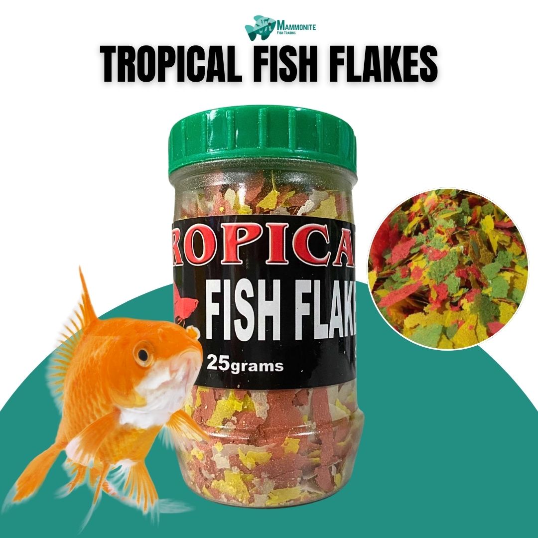 Infinity Fish Food Flakes - High Quality Growth Booster